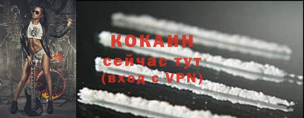 Альфа ПВП Тавда