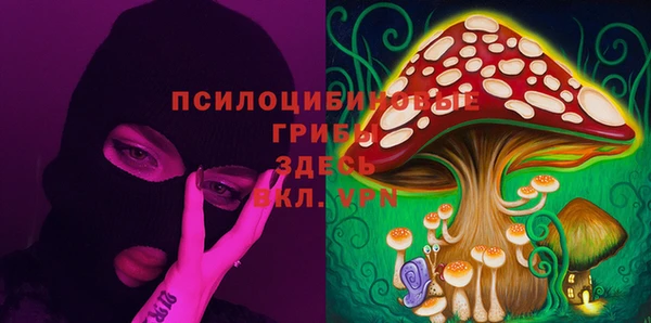 гидра Балахна
