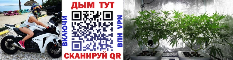ОМГ ОМГ зеркало  Лангепас  Каннабис тримм 